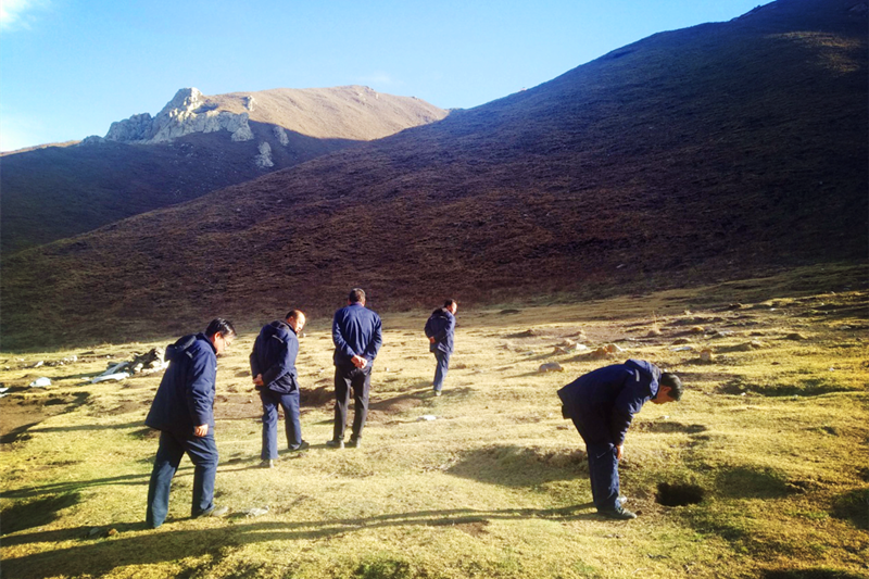 興海銅鑫召開礦區(qū)生態(tài)治理動(dòng)員部署會(huì)